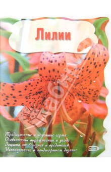 Лилии