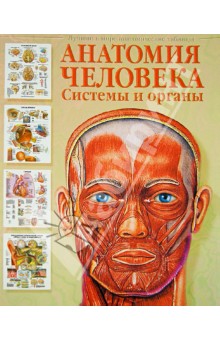 Анатомия человека. Системы и органы