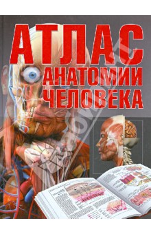 Атлас анатомии человека