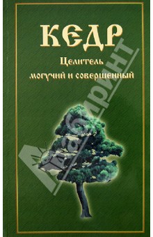 Кедр. Целитель могучий и совершенный