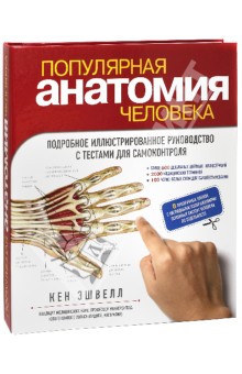 Популярная анатомия человека. Подробное иллюстрированное руководство с тестами для самоконтроля