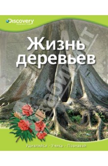 Жизнь деревьев