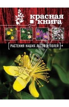 Красная книга. Растения наших лесов и полей