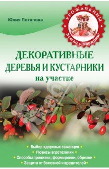 Декоративные деревья и кустарники на участке