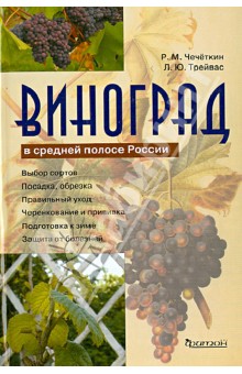 Виноград в средней полосе России
