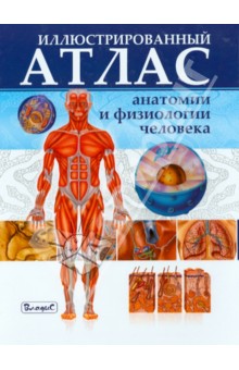 Иллюстрированный атлас анатомии и физиологии человека