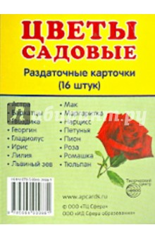 Раздаточные карточки "Цветы садовые" (16 штук)