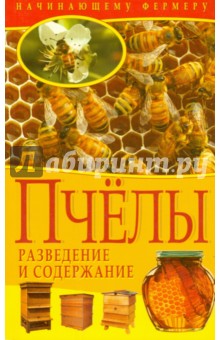 Пчелы. Разведение и содержание