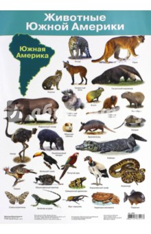 Животные Южной Америки. Демонстрационный плакат (2882)