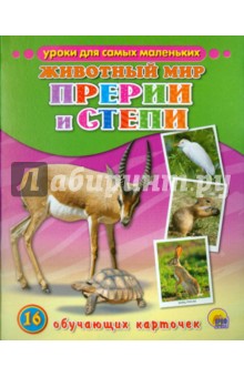 Обучающие карточки. Прерии и степи