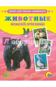 Обучающие карточки "Животные Южной Америки"