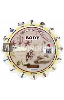 Иллюстрированный тематический словарь "Body" (Тело человека)