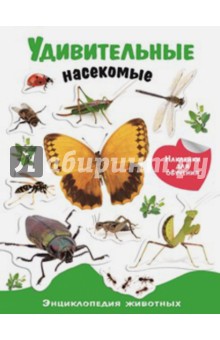Удивительные насекомые. Энциклопедия животных с наклейками