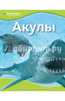 Акулы