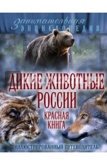 Дикие животные России. Красная книга. Иллюстрированный путеводитель