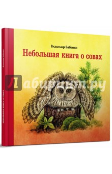 Небольшая книга о совах