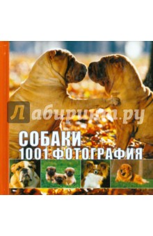 Собаки. 1001 фотография
