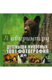 Детеныши животных. 1001 фотография