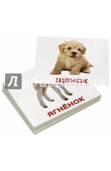 Комплект мини-карточек "Domestic animals/Домашние животные" (40 штук)