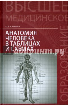 Анатомия человека в таблицах и схемах. Учебное пособие