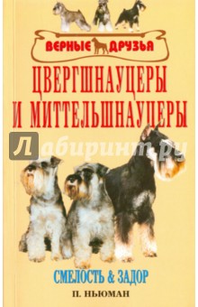 Цвергшнауцеры и миттельшнауцеры. Смелость и задор