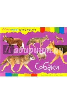 Собаки