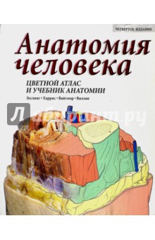 Анатомия человека. Цветной атлас и учебник анатомии