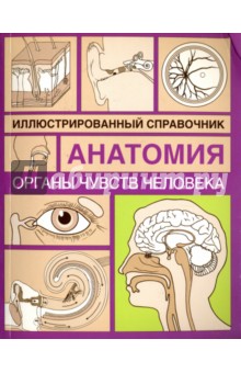 Органы чувств человека