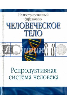 Человеческое тело. Анатомия. Репродуктивная система человека
