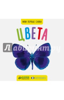 Фото-книга. Цвета МИНИ