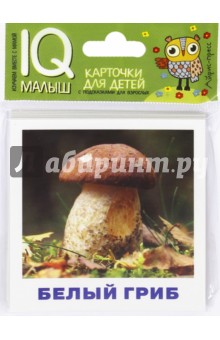 Грибное лукошко. Набор карточек