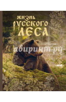 Жизнь русского леса. Большая подарочная энциклопедия (медведь)