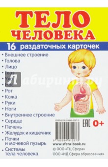 Раздаточные карточки "Тело человека"