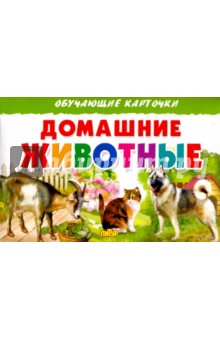 Карточки. Домашние животные