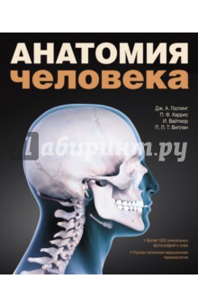 Анатомия человека. Цветной атлас и учебник анатомии