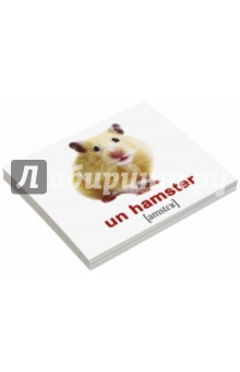 Комплект карточек Мини-20 "Les animaux domestiq. Домашние животные" (французский язык)