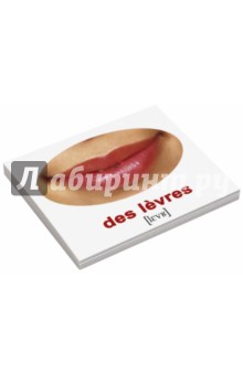 Комплект карточек Мини-20  "Les corps. Наше тело" (французский язык)