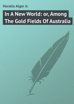 In A New World: or, Among The Gold Fields Of Australia