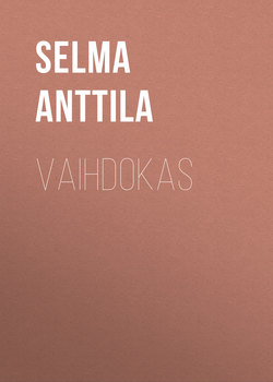 Vaihdokas