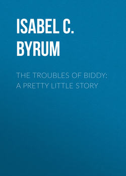 The Troubles of Biddy: A Pretty Little Story