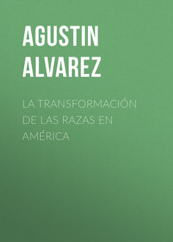 La transformación de las razas en América