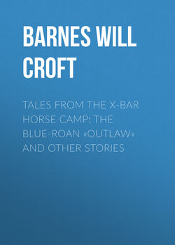 Tales from the X-bar Horse Camp: The Blue-Roan «Outlaw» and Other Stories