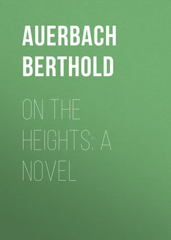 On the Heights: A Novel