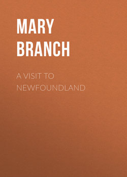 A Visit to Newfoundland