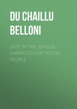 Lost in the Jungle; Narrated for Young People