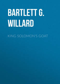 King Solomon's Goat