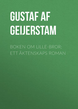 Boken om lille-bror: Ett äktenskaps roman