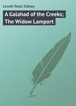 A Galahad of the Creeks; The Widow Lamport