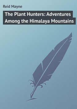 The Plant Hunters: Adventures Among the Himalaya Mountains