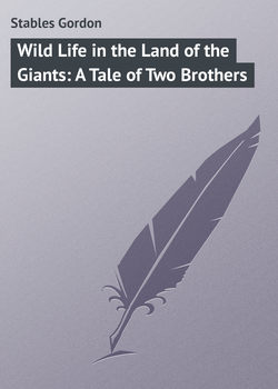 Wild Life in the Land of the Giants: A Tale of Two Brothers